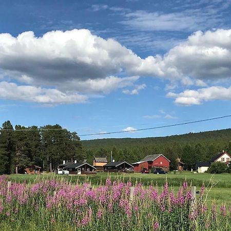Roste Hyttetun Og Camping Os (Hedmark) 외부 사진