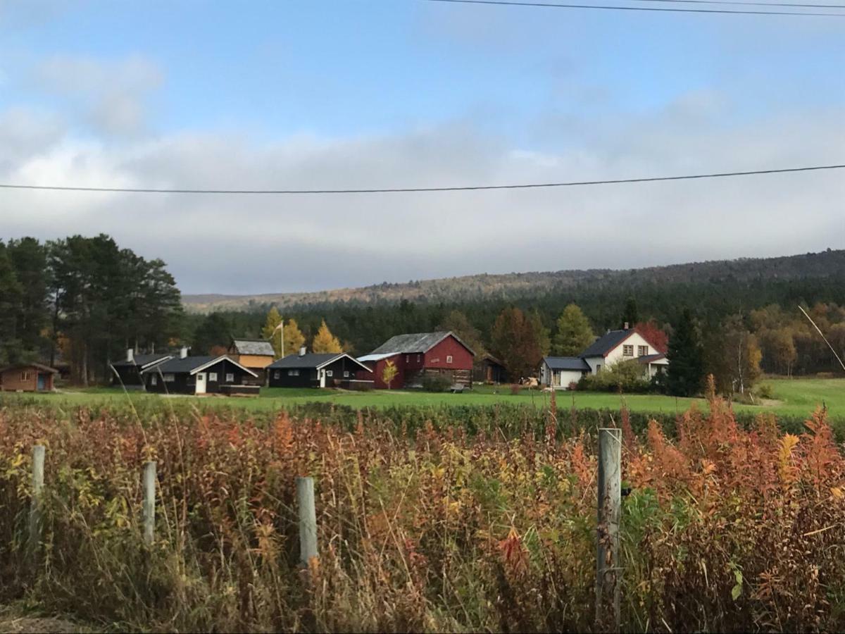 Roste Hyttetun Og Camping Os (Hedmark) 외부 사진