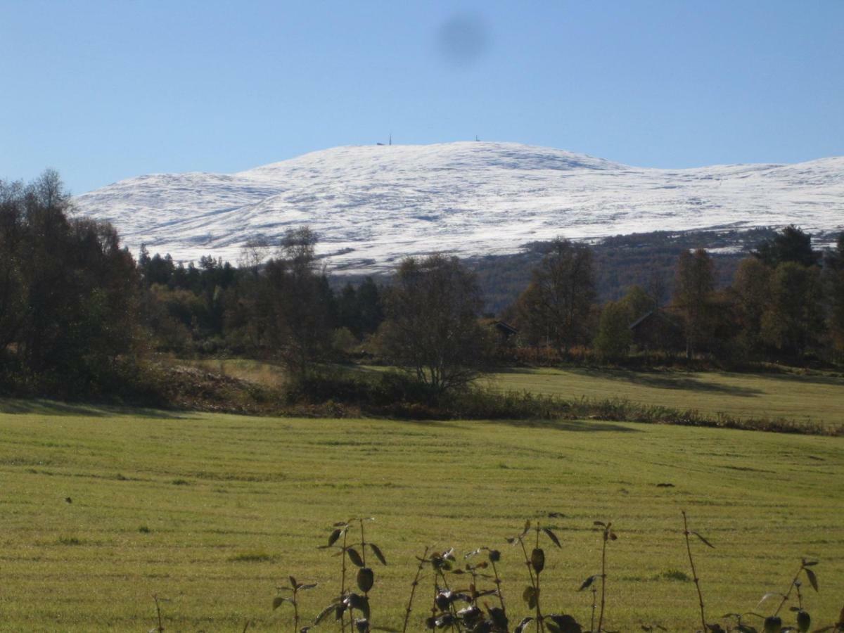 Roste Hyttetun Og Camping Os (Hedmark) 외부 사진