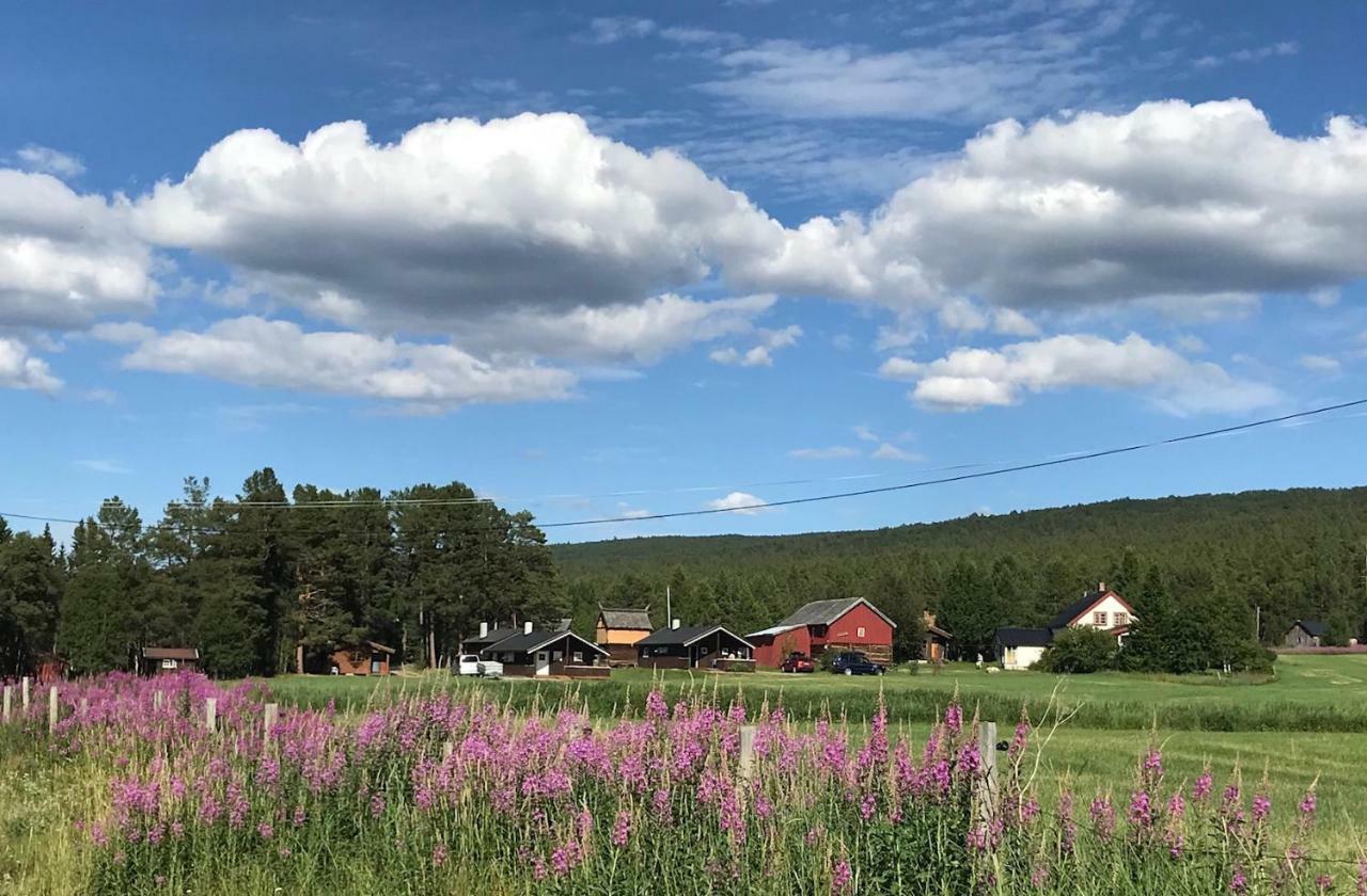 Roste Hyttetun Og Camping Os (Hedmark) 외부 사진